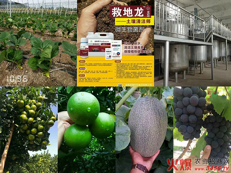 西安勝牌生物科技有限公司 西安勝牌生物科技有限公司