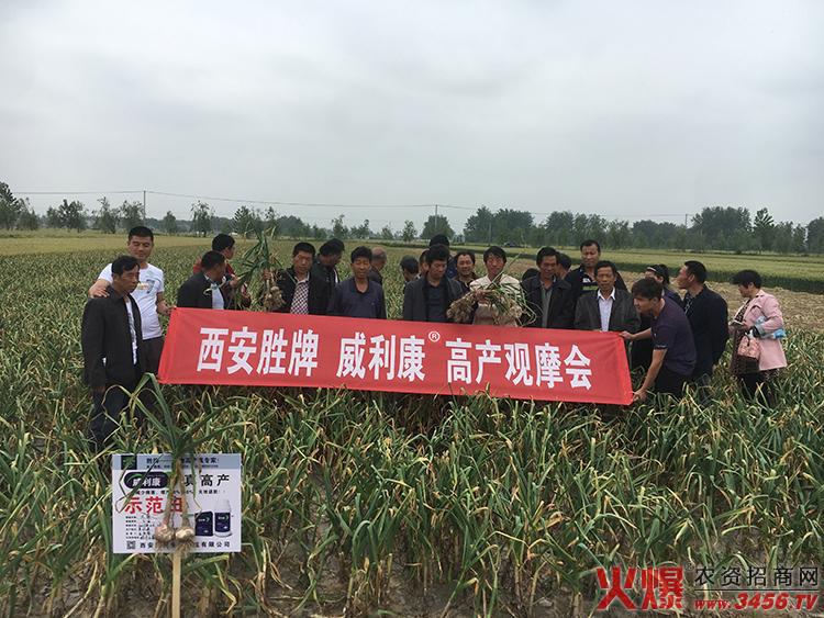 西安勝牌生物科技有限公司 西安勝牌生物科技有限公司