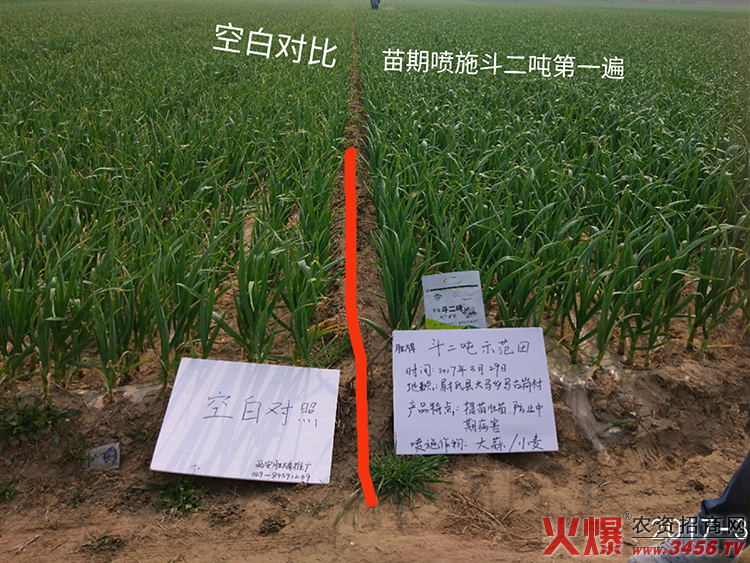 西安勝牌生物科技有限公司 西安勝牌生物科技有限公司