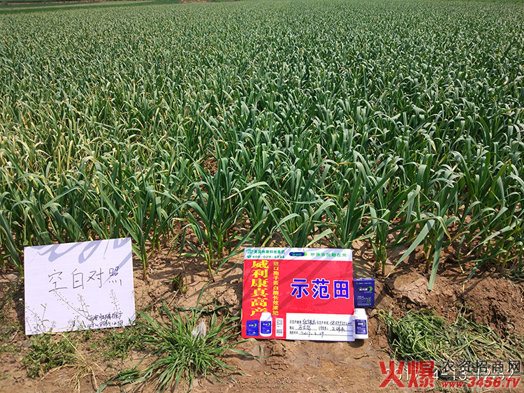 西安勝牌生物科技有限公司 西安勝牌生物科技有限公司