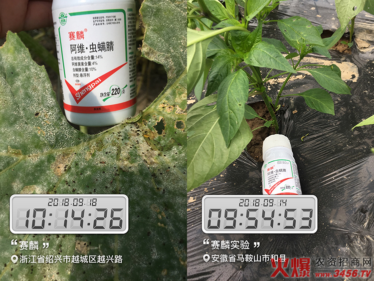 西安勝牌生物科技有限公司 西安勝牌生物科技有限公司