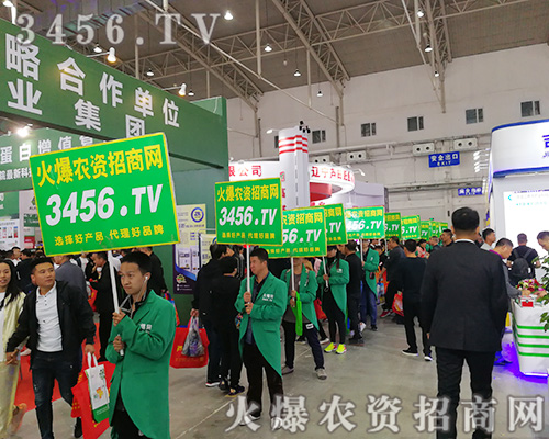 ���r(n��ng)�Y���̾W(w��ng)�ّ�(zh��n)2019���L��ֲ������