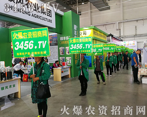 �R�������������2019�L(zh��ng)���r(n��ng)�Y��(hu��)��