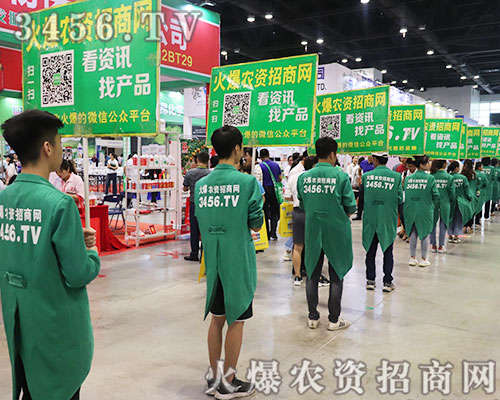 3456.TV���r�Y���̾W���ݳ���2019�ό��r�Y����