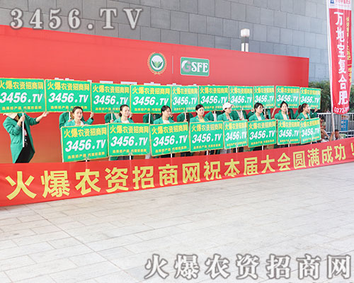 3456.TV�F�Yһ�y�ֲ�������2019�ό��r�Y����