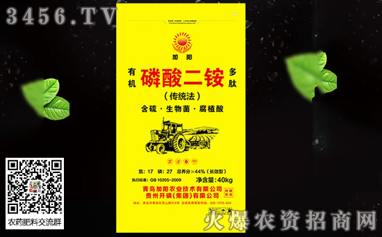 �������@ɶ�r������(n��i)������@�S�҈�r11-12