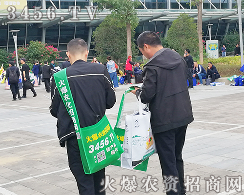 ��(zh��n)�����f�ɾ͸ɣ����r(n��ng)�Y�W(w��ng)����2019ֲ����(hu��)��