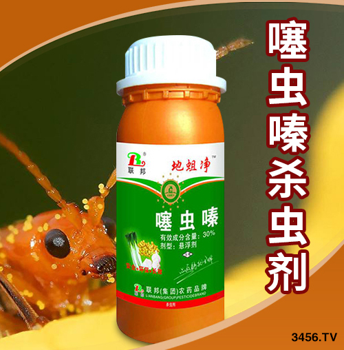 2019���rˎ��I(y��)10��Ʒ�����а�ҕ����rˎ�x������ã��