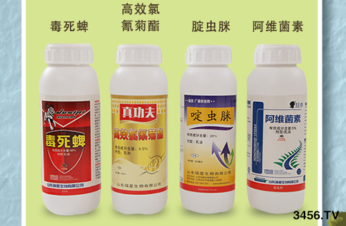 2019���rˎ��I(y��)10��Ʒ�����а�ҕ����rˎ�x������ã��