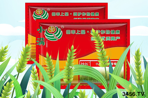 緊急發(fā)布:今年小麥條銹病提前暴發(fā),千萬(wàn)要警惕! 緊急發(fā)布:今年小麥條銹病提前暴發(fā),千萬(wàn)要警惕!