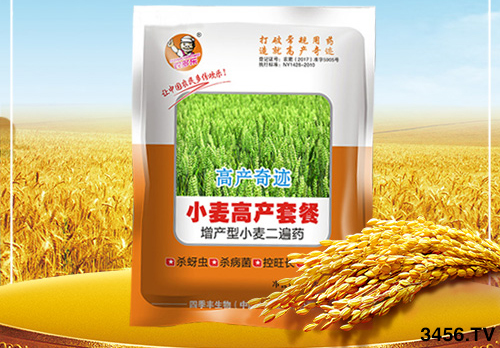 冬小麥為啥一片黃,一片青?原因已找到,快點(diǎn)來對照! 冬小麥為啥一片黃,一片青?原因已找到,快點(diǎn)來對照!