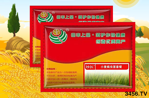 冬小麥為啥一片黃,一片青?原因已找到,快點(diǎn)來對照! 冬小麥為啥一片黃,一片青?原因已找到,快點(diǎn)來對照!