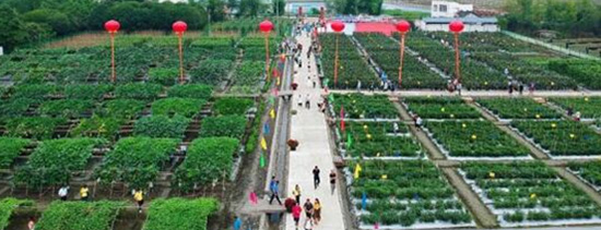 2020�����r(n��ng)�Y���[��(hu��)�ճ��e�k���^��ļ������ȫ�憢��(d��ng)��