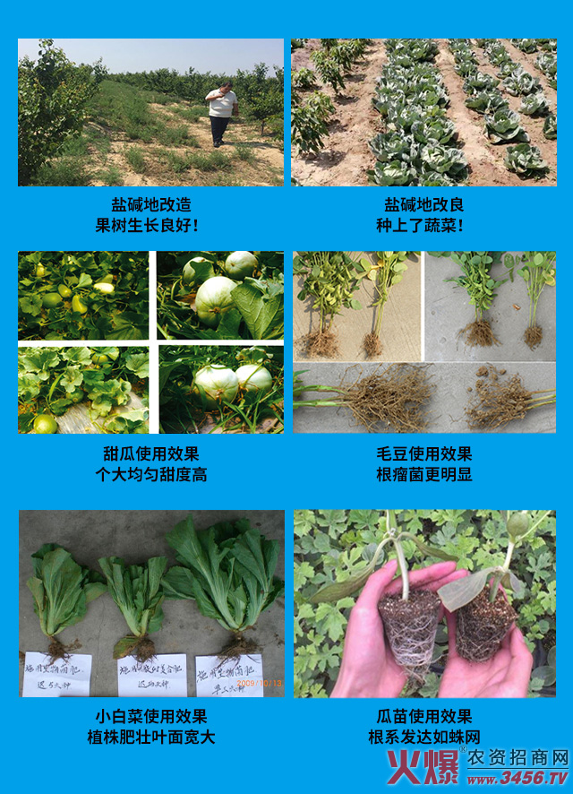 ���_��ķ�h���H��������Ƽ����޹�˾