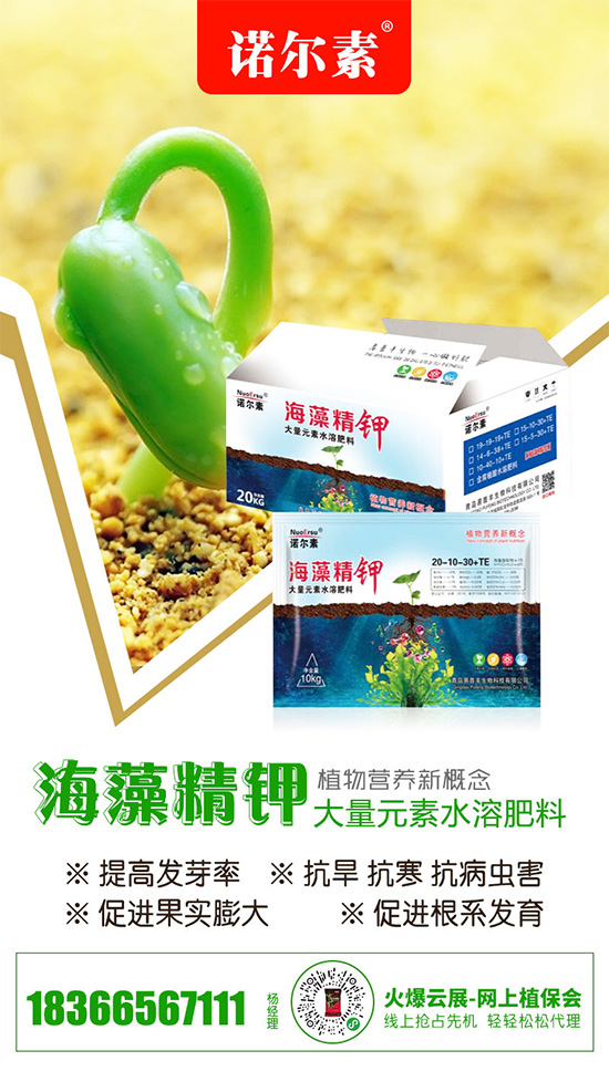 �Ȼ�⛶��ڃ�(n��i)�r��ƽ��(w��n)������2020-5-22�Ȼ�⛃r������