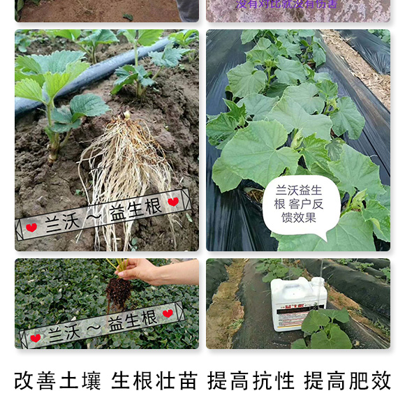 ������-�m���r(n��ng)�I(y��)