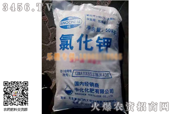 1750-1850元/噸!2020-6-4國內(nèi)氯化鉀價格行情報價一覽 1750-1850元/噸!2020-6-4國內(nèi)氯化鉀價格行情報價一覽