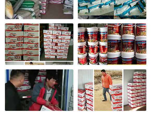 鑻卞浗鍗¤開澶紙鍖椾含錛夊啘涓氱鎶€鏈夐檺鍏徃浜у搧_10.jpg 鑻卞浗鍗¤開澶紙鍖椾含錛夊啘涓氱鎶€鏈夐檺鍏徃浜у搧_10.jpg