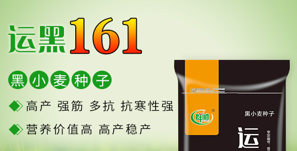 �\��161-��С���N��