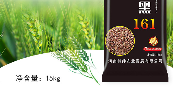 �\��161-��С���N��