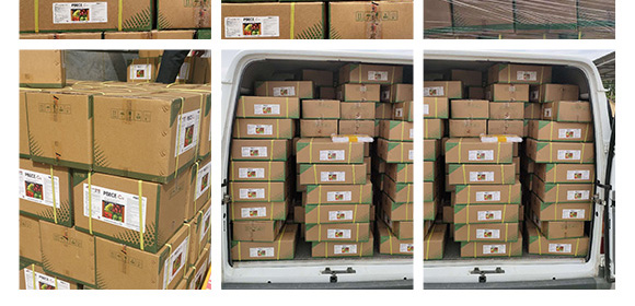 進(jìn)口果頓普蓓·優(yōu)鈣-功能性水溶葉面肥微肥-亞瑟夫 進(jìn)口果頓普蓓·優(yōu)鈣-功能性水溶葉面肥微肥-亞瑟夫