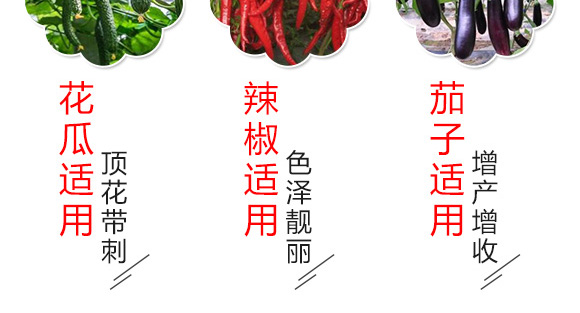 微量元素水溶肥-苒色-艾姆斯特 微量元素水溶肥-苒色-艾姆斯特