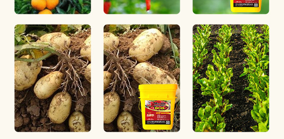 �߿�1̖(h��o)�����r(n��ng)��΢���������-����S