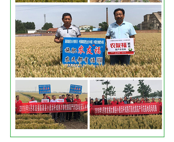 �ЙC(j��)-�o�C(j��)�������20-15-15-���и�-�r(n��ng)�Ѹ�