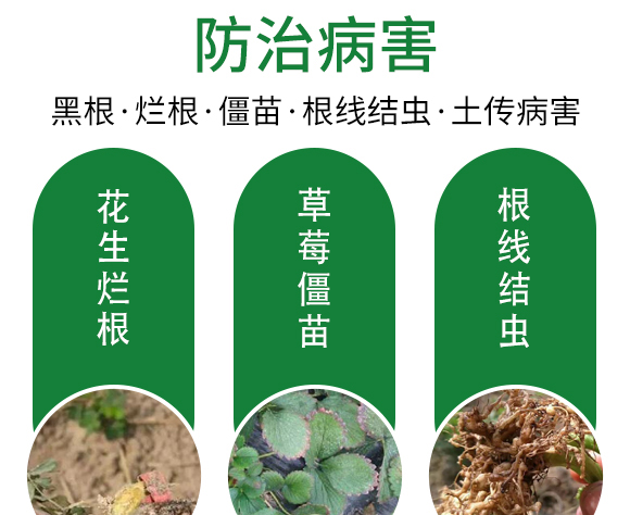 保花膨果肥-田園季豐-大豐肥業(yè)