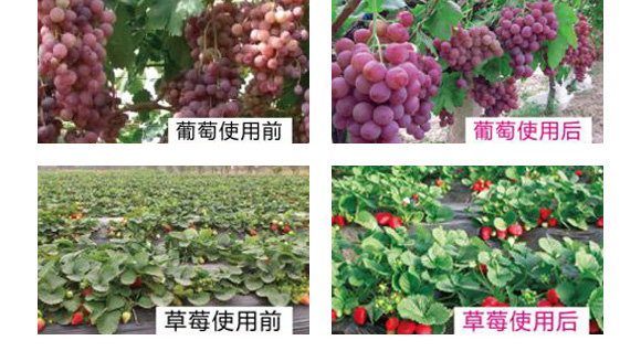 ̼ø�S�����-������-����