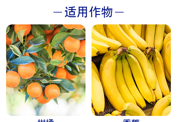 灞變笢寮哄啘鐢熺墿縐戞妧鏈夐檺鍏徃浜у搧璇︽儏欏?_05.jpg 灞變笢寮哄啘鐢熺墿縐戞妧鏈夐檺鍏徃浜у搧璇︽儏欏?_05.jpg