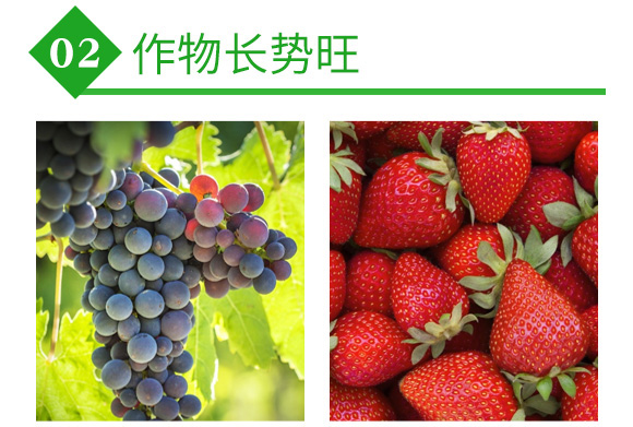 大棚專用降溫劑-利涼-沃億佳