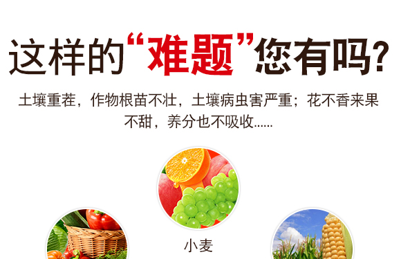 灞變笢鍐滀匠涓€鐢熺墿縐戞妧鏈夐檺鍏徃鐢誨唽_04.jpg 灞變笢鍐滀匠涓€鐢熺墿縐戞妧鏈夐檺鍏徃鐢誨唽_04.jpg