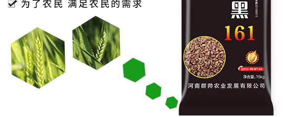 �\��161-��С���N��