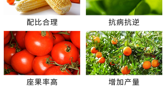 50kg�ͺϷ���25-14-6-��֩��-������