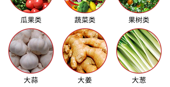 50kg�ͺϷ���25-14-6-��֩��-������