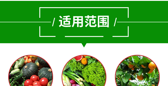 復(fù)合肥料27-13-10-土蜘蛛-根力寶 復(fù)合肥料27-13-10-土蜘蛛-根力寶