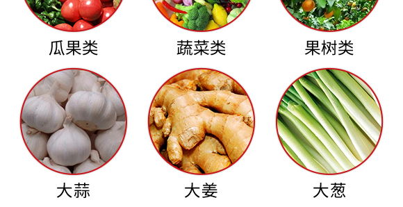 復(fù)合肥料27-13-10-土蜘蛛-根力寶 復(fù)合肥料27-13-10-土蜘蛛-根力寶