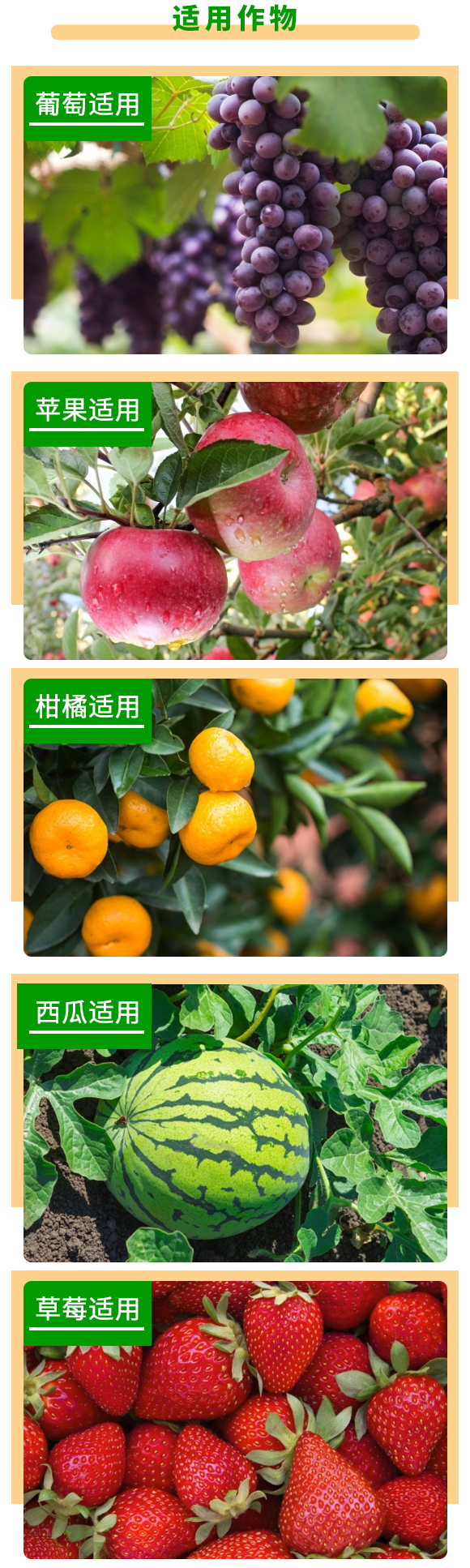 ԭ���B(t��i)��ֲ��-�����_-��������