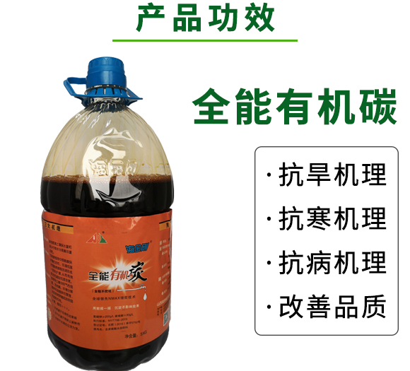 ȫ���ЙC̼-������-�W�¸�