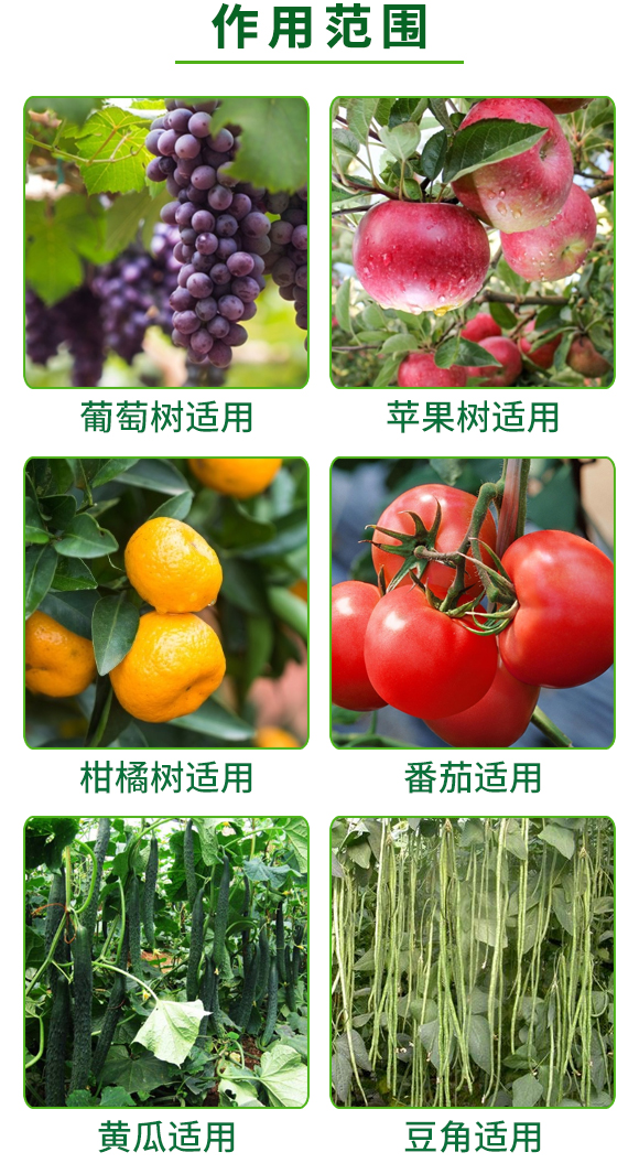 ȫ���ЙC̼-������-�W�¸�