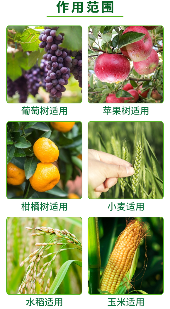 �Ż�-�{(di��o)����-�W�¸�