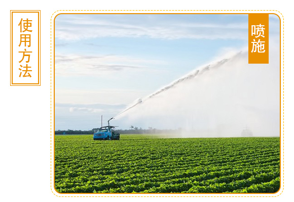 灞變笢椴查箯鐢熸€佺鎶€鏈夐檺鍏徃浜у搧璇︽儏欏?_06.jpg 灞變笢椴查箯鐢熸€佺鎶€鏈夐檺鍏徃浜у搧璇︽儏欏?_06.jpg