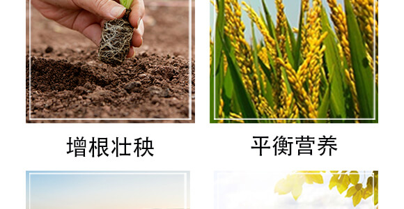 榛勮厫閰鎬腑寰湁鏈鴻偉鏂?灝忛粦鍔?鍐滀匠涓€_06.jpg 榛勮厫閰鎬腑寰湁鏈鴻偉鏂?灝忛粦鍔?鍐滀匠涓€_06.jpg