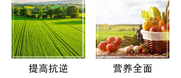 榛勮厫閰鎬腑寰湁鏈鴻偉鏂?灝忛粦鍔?鍐滀匠涓€_07.jpg 榛勮厫閰鎬腑寰湁鏈鴻偉鏂?灝忛粦鍔?鍐滀匠涓€_07.jpg