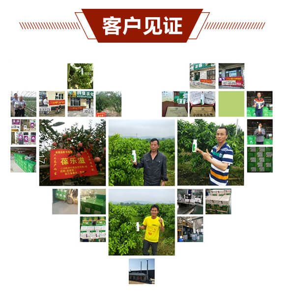 20%氰霜唑懸浮劑-超尊-中植科華