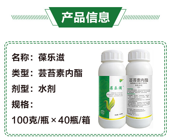 鑺歌嫈绱犲唴閰?钁嗕箰婊?錛堢摱錛塤02.jpg 鑺歌嫈绱犲唴閰?钁嗕箰婊?錛堢摱錛塤02.jpg