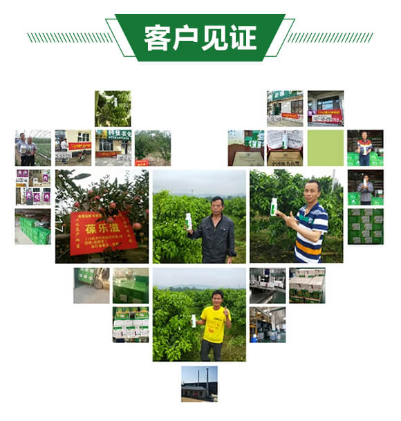 鑺歌嫈绱犲唴閰?钁嗕箰婊?錛堢摱錛塤06.jpg 鑺歌嫈绱犲唴閰?钁嗕箰婊?錛堢摱錛塤06.jpg