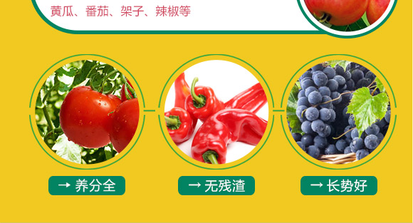 婕渤甯?jìng)鍌呯墝鍐滀笟绉戞妧鏈夐檺鍏徃_06.jpg 婕渤甯?jìng)鍌呯墝鍐滀笟绉戞妧鏈夐檺鍏徃_06.jpg