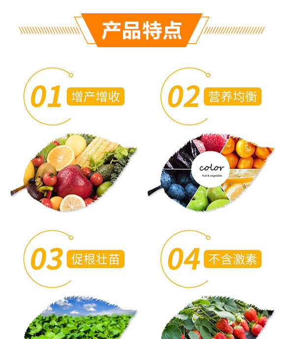 中量元素水溶�?膨果一夜绿-华创天威_03.jpg